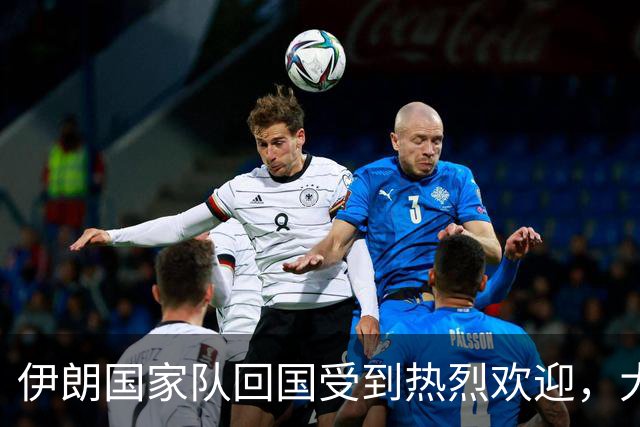 伊朗国家队回国受到热烈欢迎，大批球迷接机