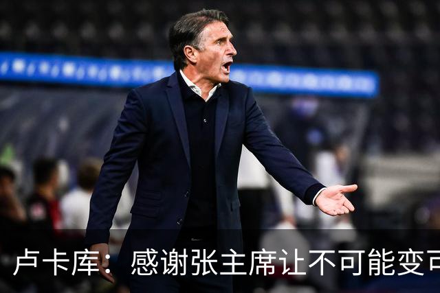 卢卡库：感谢张主席让不可能变可能 会全力帮国米
