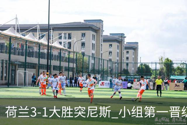 荷兰3-1大胜突尼斯 小组第一晋级淘汰赛将战摩洛哥